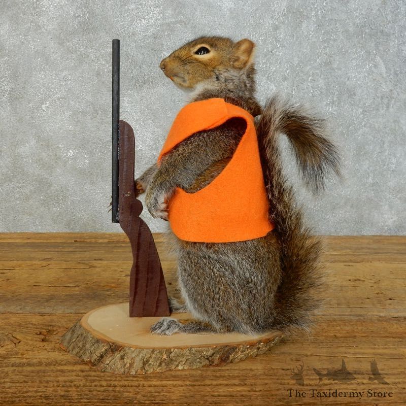 Hunting Squirrel Novelty Mount For Sale #18477 @ The Taxidermy Store
