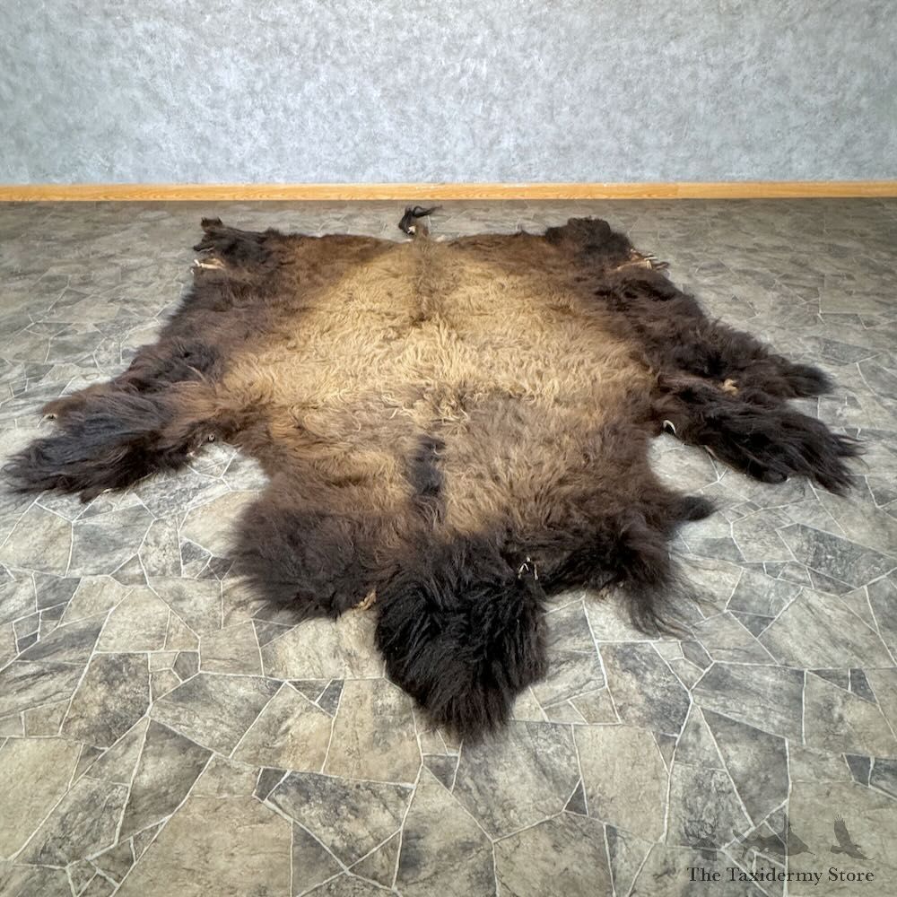 American Buffalo Bison Hide For Sale #28900 - The Taxidermy Store