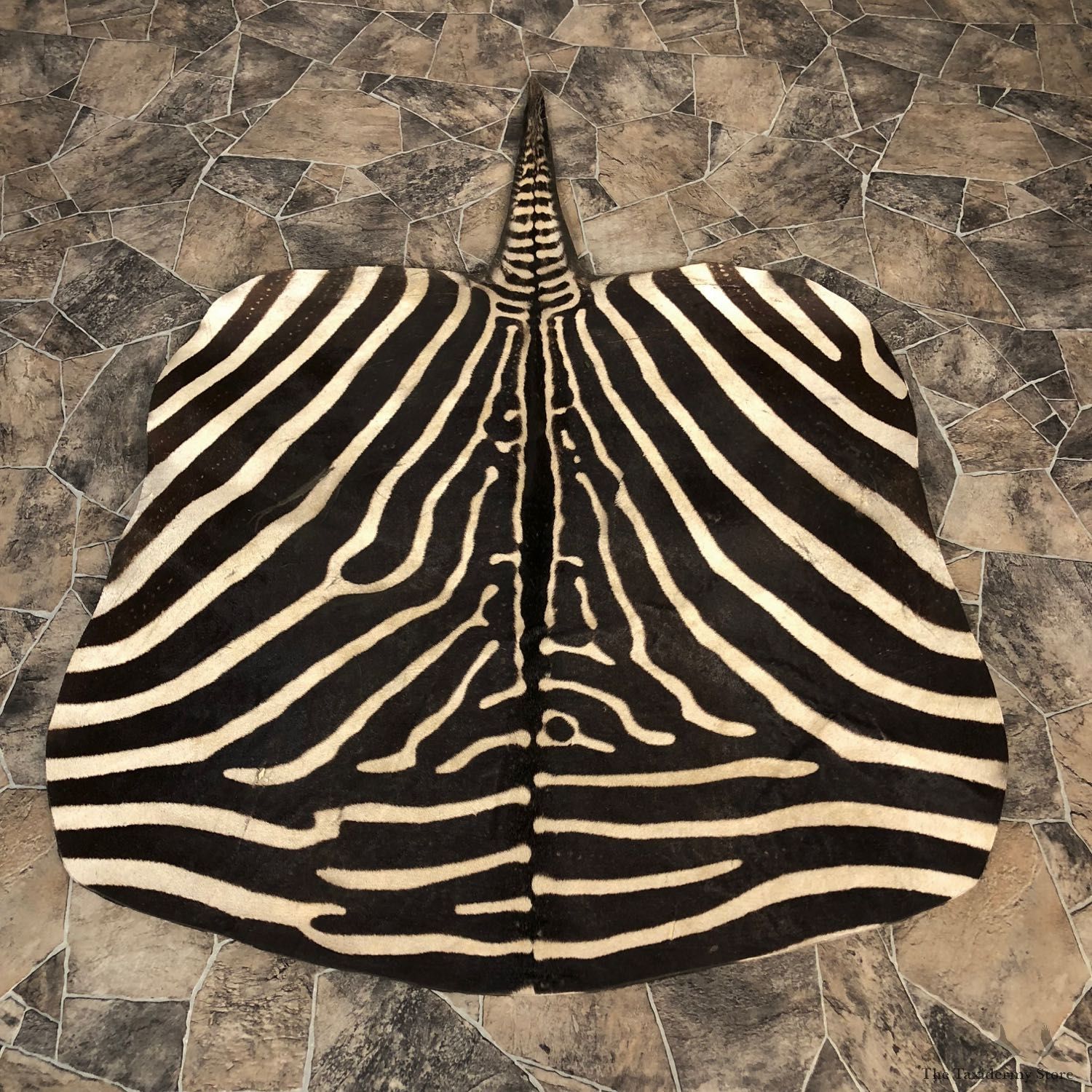African Zebra Taxidermy Throw Rug For Sale #20068 @ The Taxidermy Store