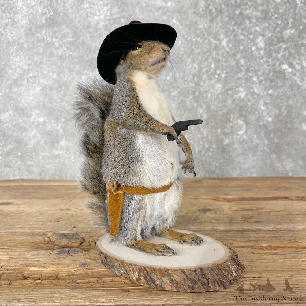Cowboy Squirrel Novelty Mount For Sale #26081 @ The Taxidermy Store