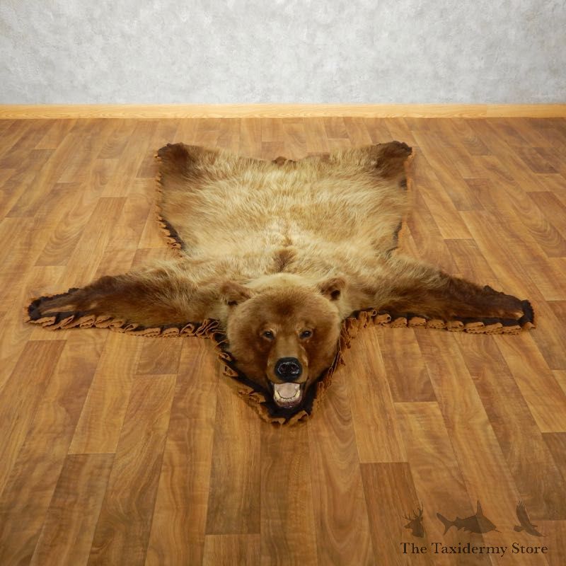 Grizzly Bear Taxidermy Rug Mount For Sale #17500 @ The Taxidermy Store