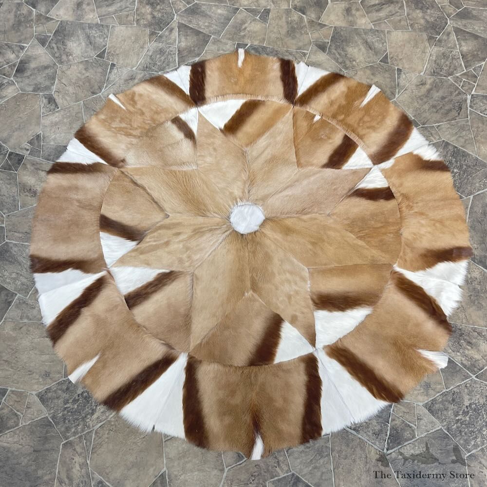 African Springbok Hide Throw For Sale #27907 @ The Taxidermy Store