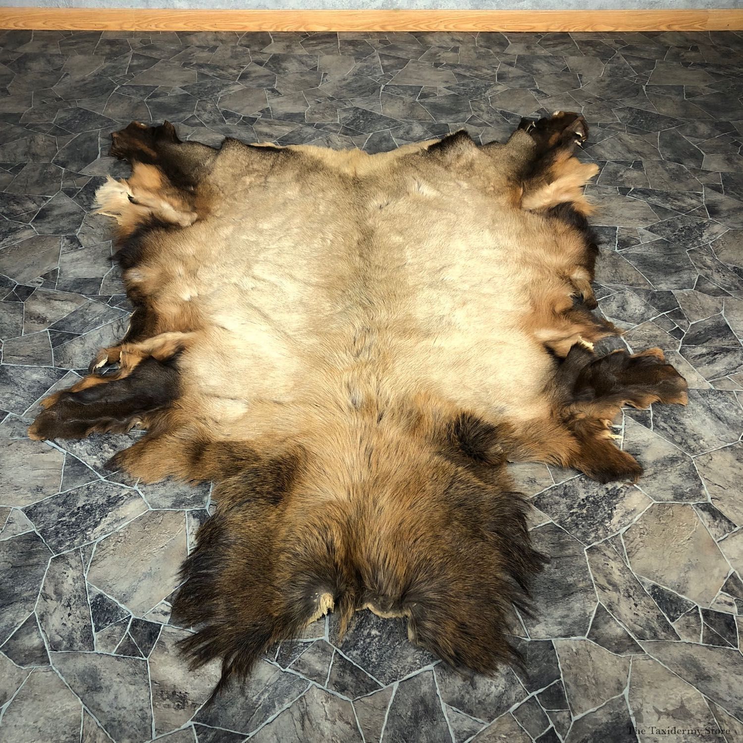 Elk Hide Mount For Sale #20075 @ The Taxidermy Store