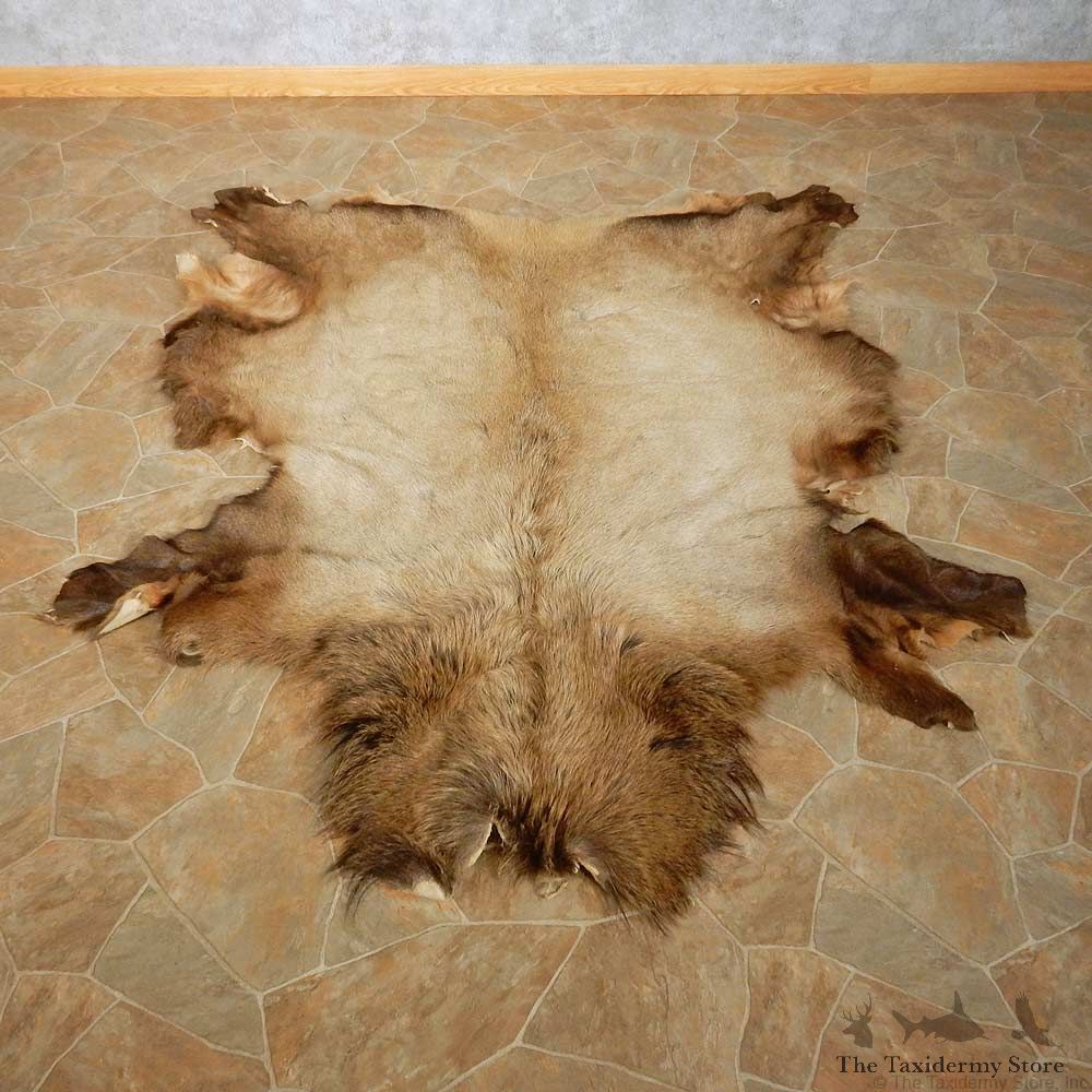 Bull Elk Rug For Sale #14899 @ The Taxidermy Store