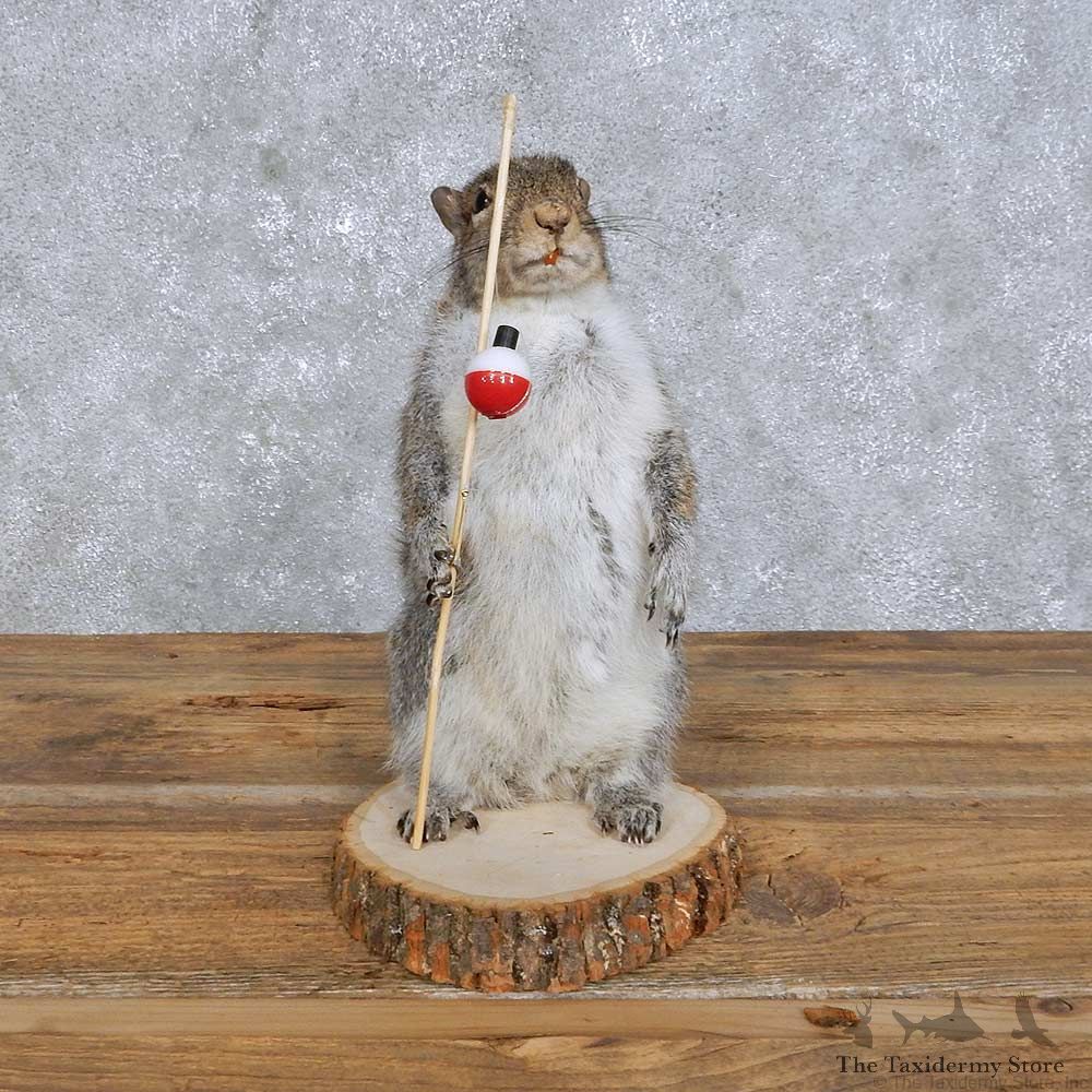 Novelty Fisherman Squirrel Mount For Sale #14177 @ The Taxidermy Store