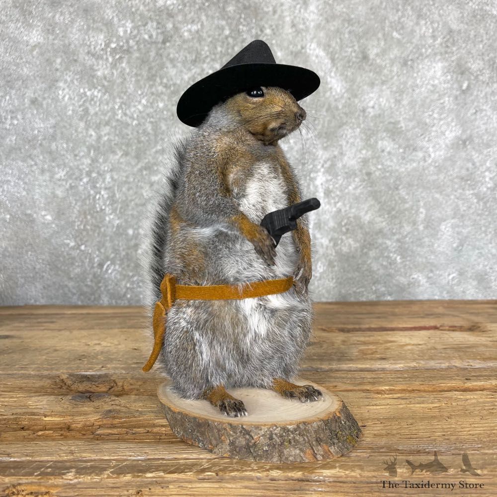 Cowboy Squirrel Novelty Mount For Sale #24353 @ The Taxidermy Store
