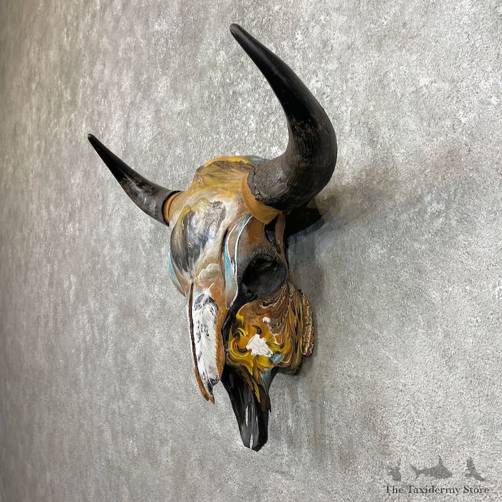 Buffalo Bison Skull Mount For Sale #26251 @ The Taxidermy Store