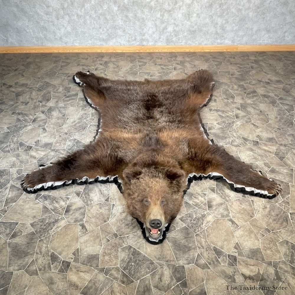 Grizzly Bear Rug Mount For Sale #27847 @ The Taxidermy Store