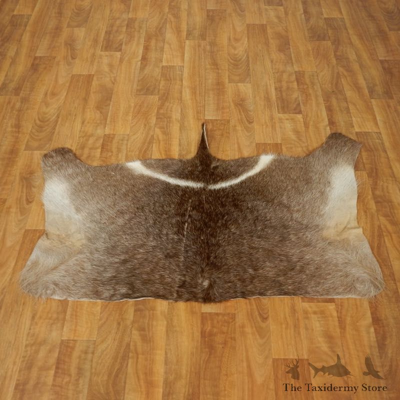 Waterbuck Hide Mount For Sale #17468 @ The Taxidermy Store