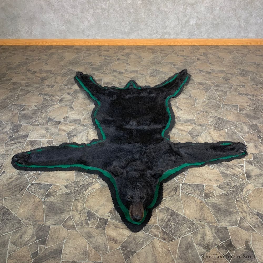 Black Bear Full-Size Rug For Sale #22701 @ The Taxidermy Store