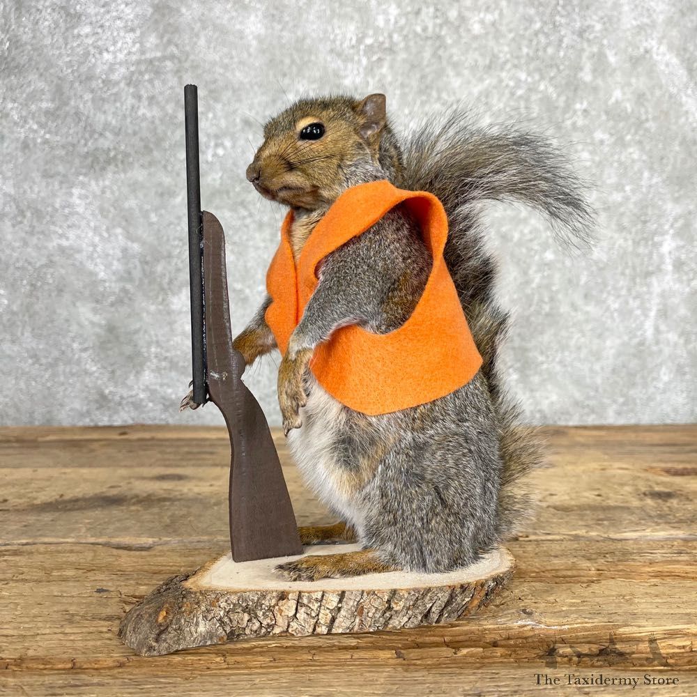 Hunting Squirrel Novelty Mount For Sale #24035 @ The Taxidermy Store