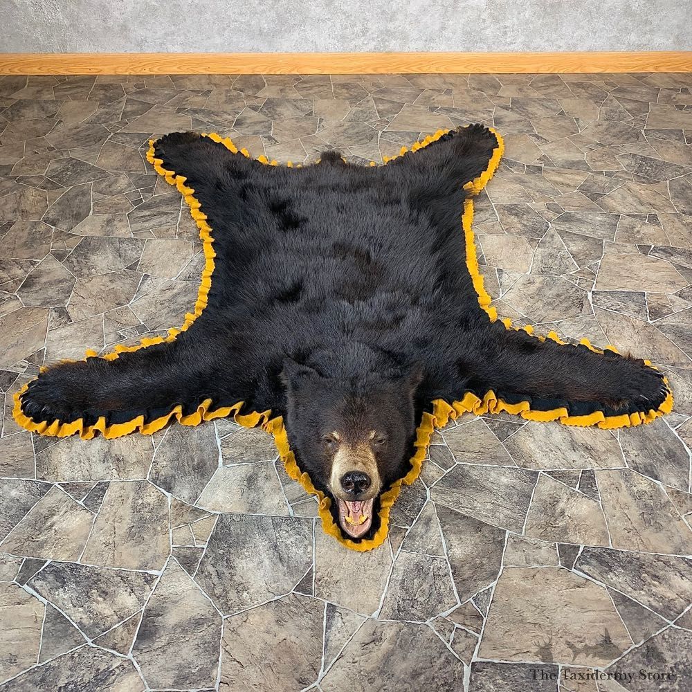 Black Bear Full-Size Rug For Sale #21169 @ The Taxidermy Store