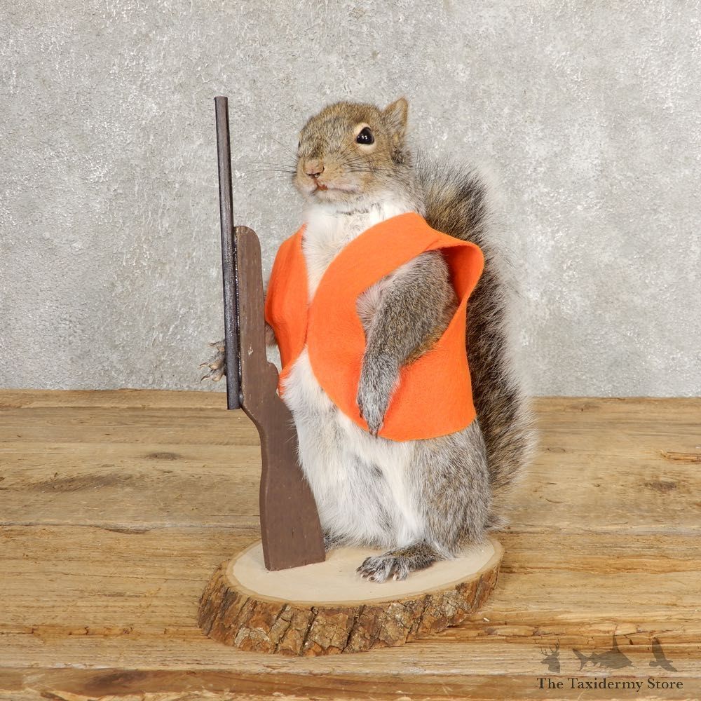 Hunting Squirrel Novelty Mount For Sale #21019 @ The Taxidermy Store