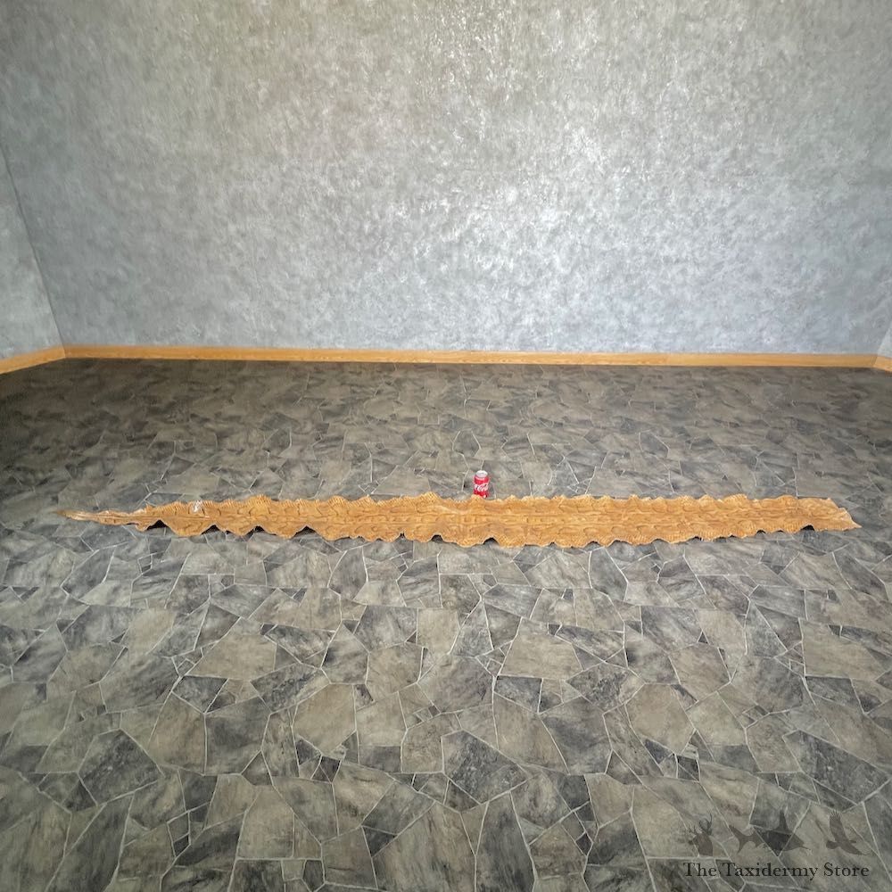 Rock Python Snake Mount For Sale #26283 @ The Taxidermy Store