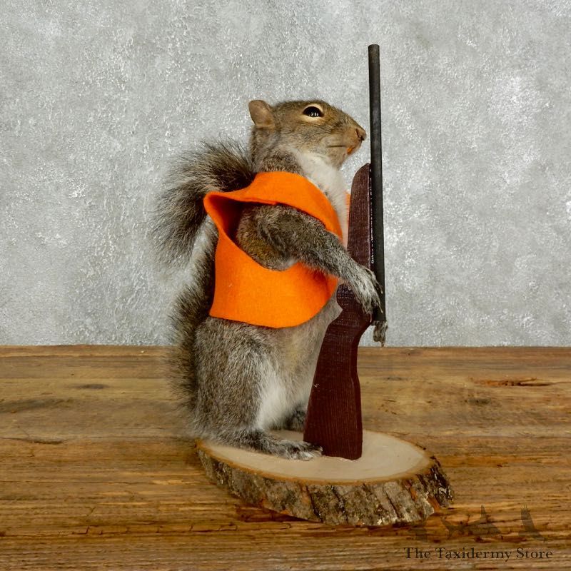 Hunting Squirrel Novelty Mount For Sale #17617 @ The Taxidermy Store