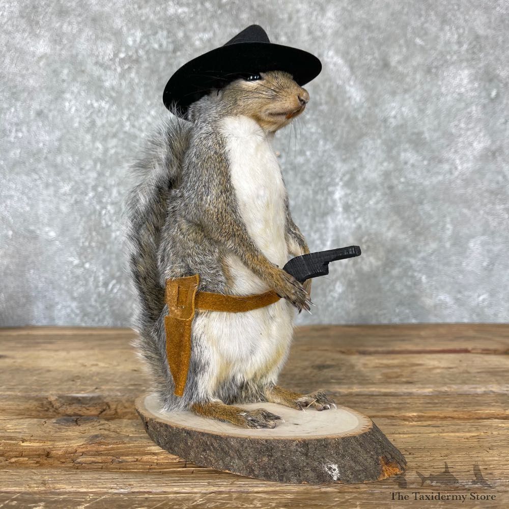 Cowboy Squirrel Novelty Mount For Sale #24354 @ The Taxidermy Store