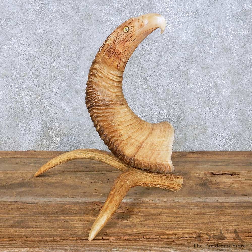 Bighorn Sheep Horn Eagle Head Carving For Sale #13962 @ The Taxidermy Store