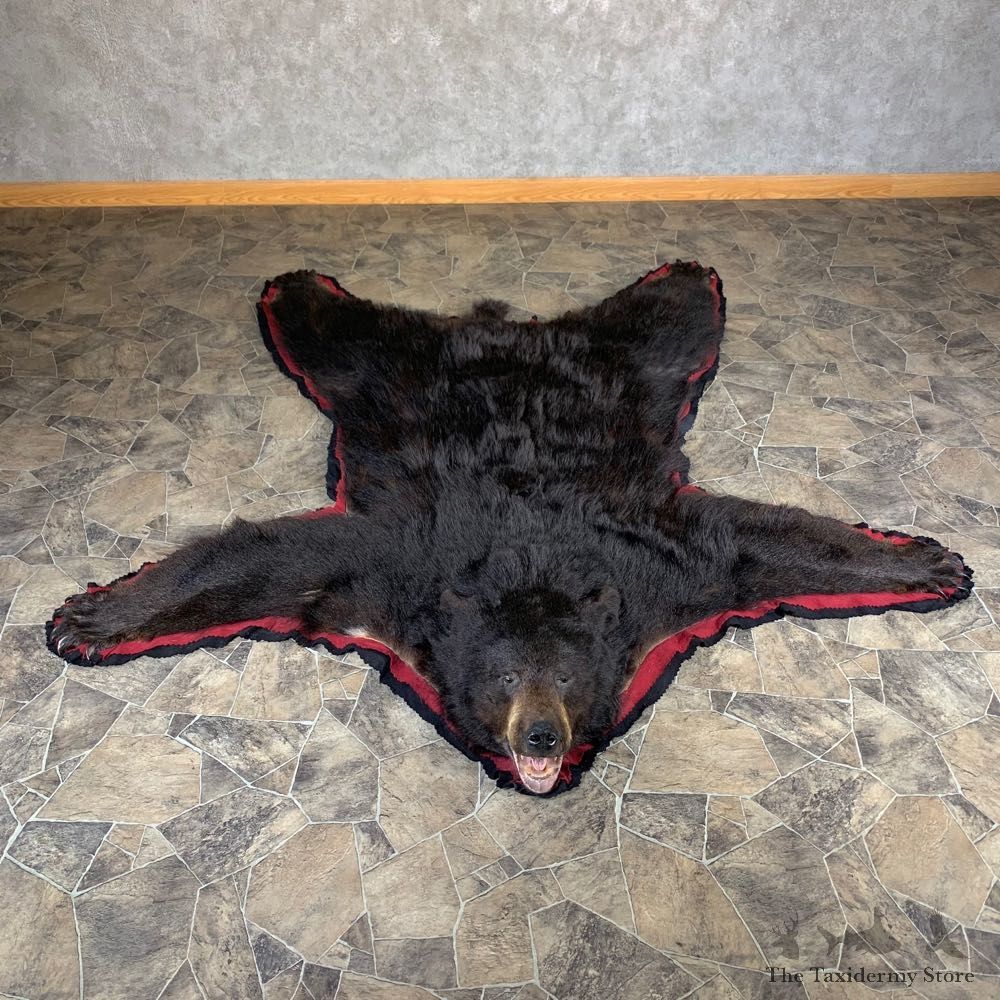 Black Bear Full-Size Rug For Sale #24012 @ The Taxidermy Store