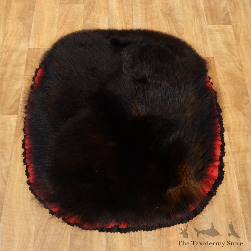 Black Bear Throw Rug For Sale #17446 @ The Taxidermy Store