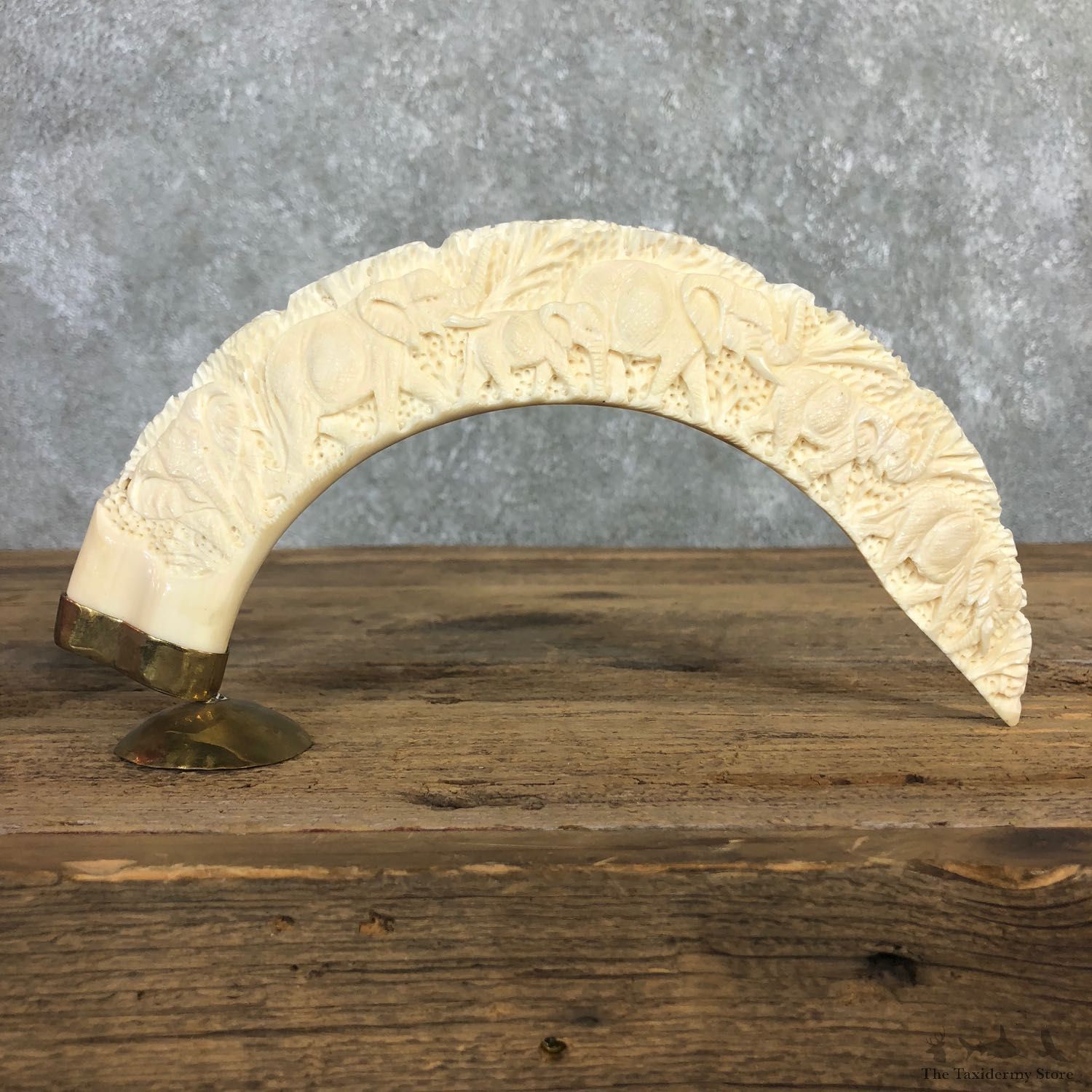 Carved Hippopotamus Tooth For Sale #19965 @ The Taxidermy Store