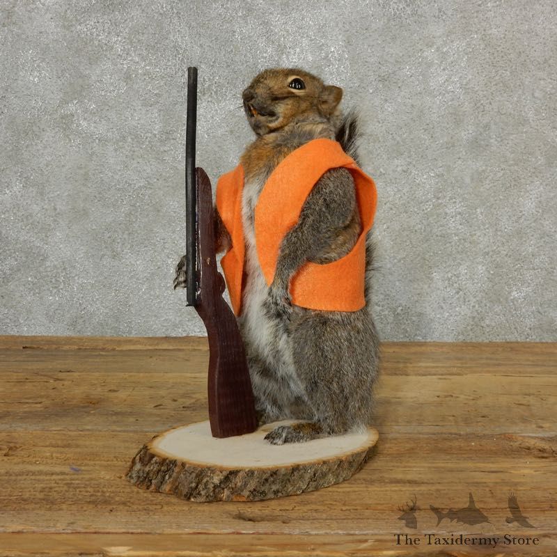 Hunting Squirrel Novelty Mount For Sale #17098 @ The Taxidermy Store
