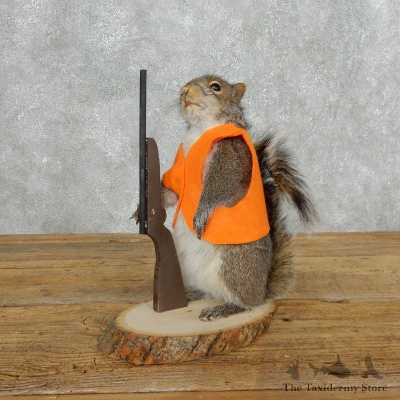 Hunting Squirrel Novelty Mount For Sale #18205 @ The Taxidermy Store
