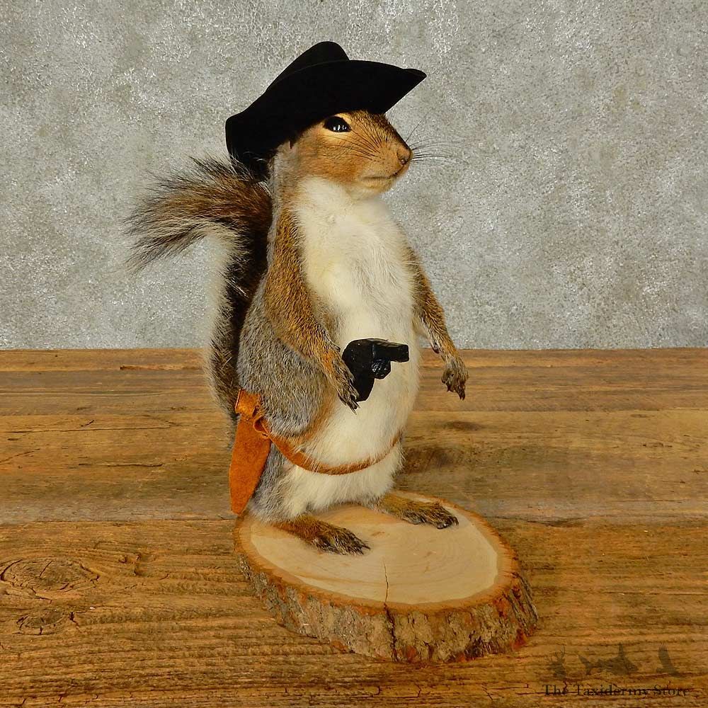 Cowboy Squirrel Novelty Mount For Sale #16308 @ The Taxidermy Store