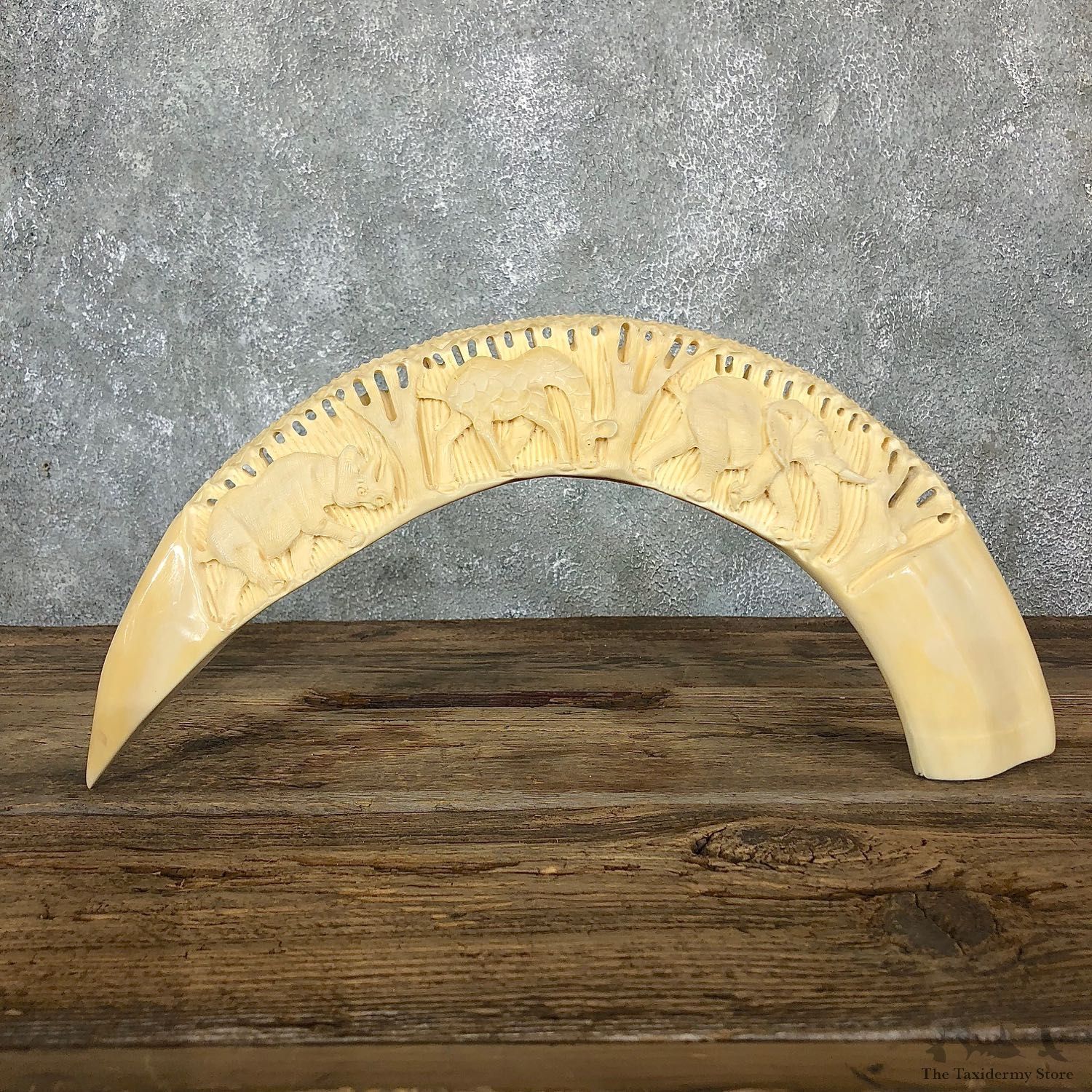 Carved Hippopotamus Tooth For Sale #19571 @ The Taxidermy Store