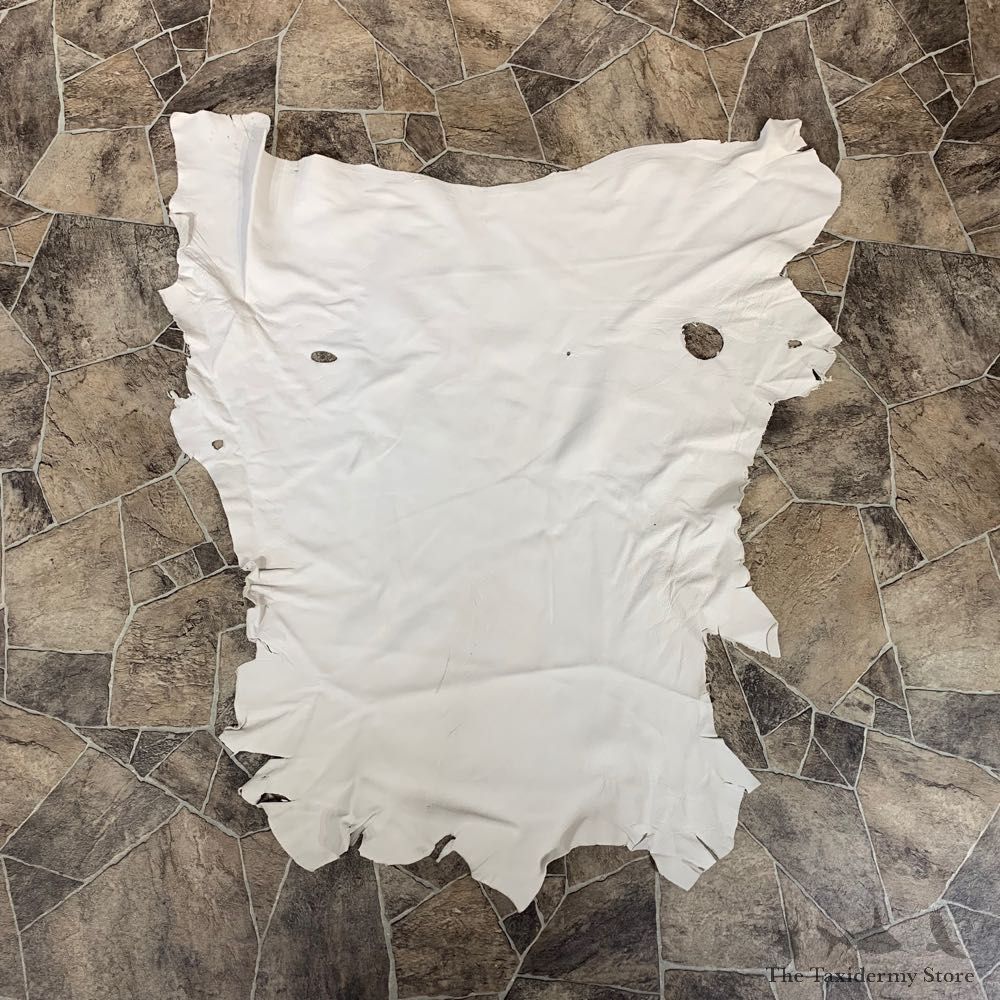 Buckskin Soft Tan Leather For Sale #22031 @ The Taxidermy Store