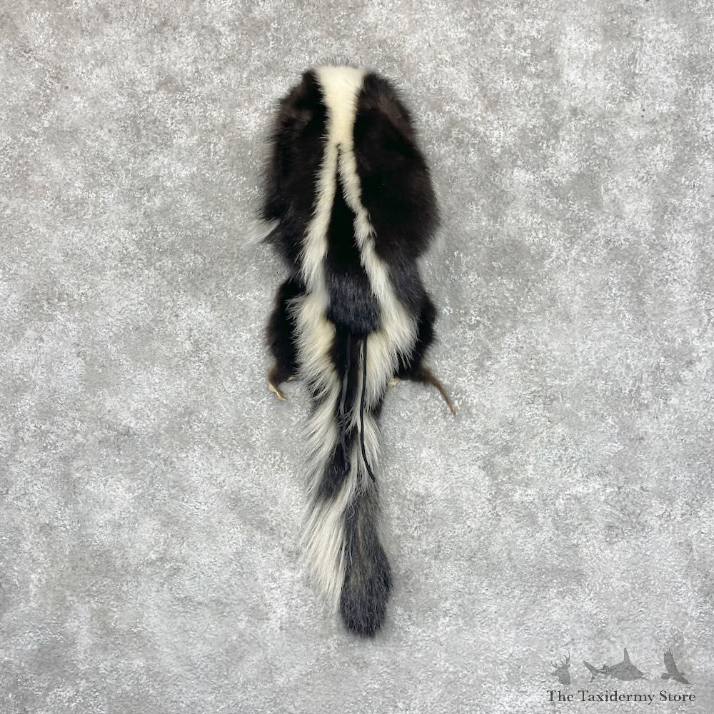 Striped Skunk Taxidermy Hat For Sale