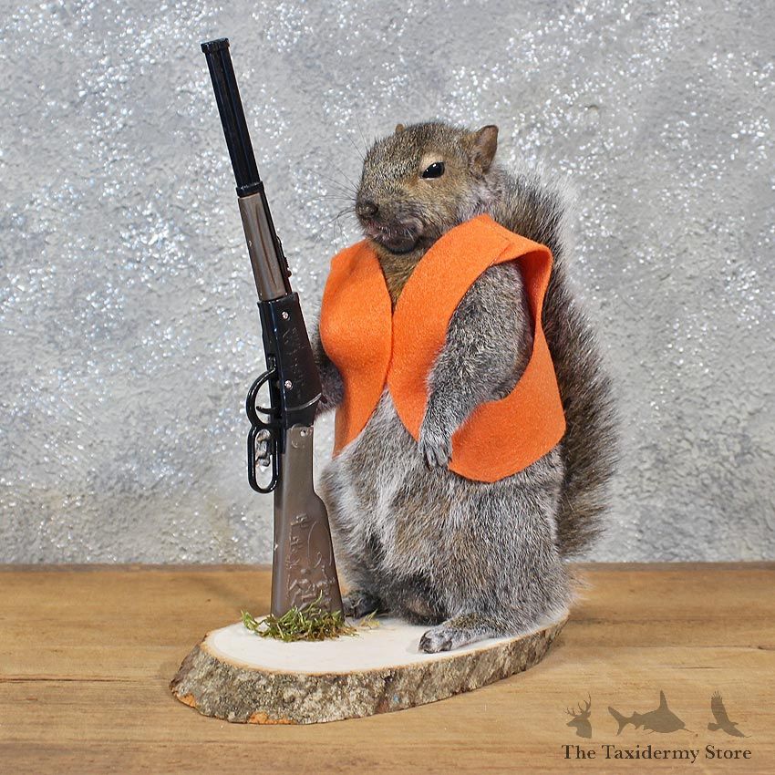 Novelty Hunter Grey Squirrel #11940 For Sale @ The Taxidermy Store