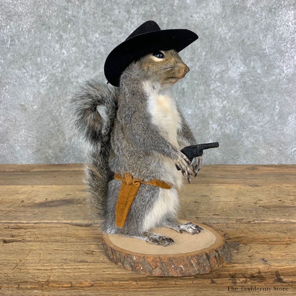 Cowboy Squirrel Novelty Mount For Sale #23054 @ The Taxidermy Store