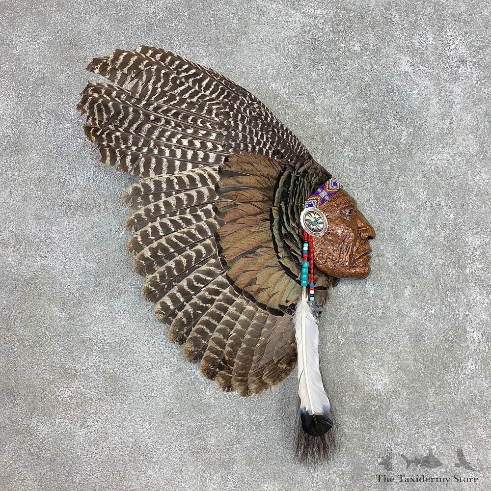 War Bird Turkey Fan Display For Sale #21536 @ The Taxidermy Store