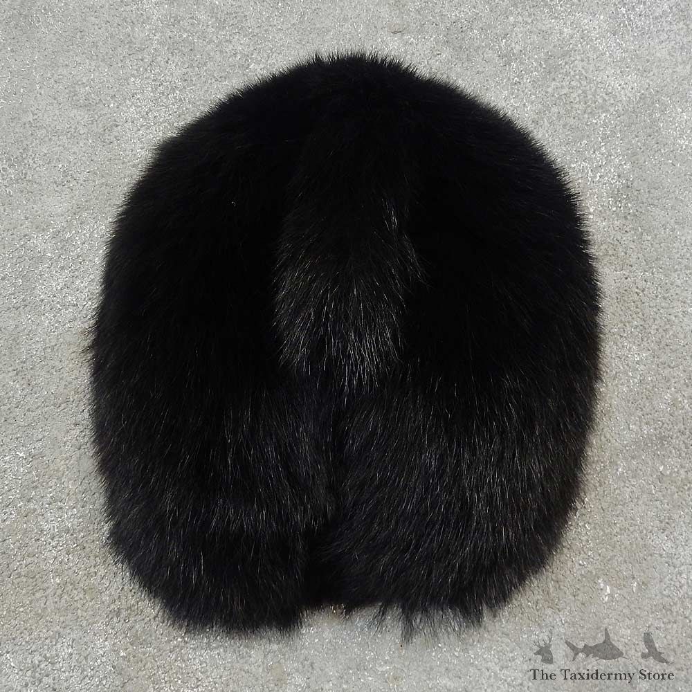 Black Bear Novelty Butt Mount For Sale #16619 @ The Taxidermy Store