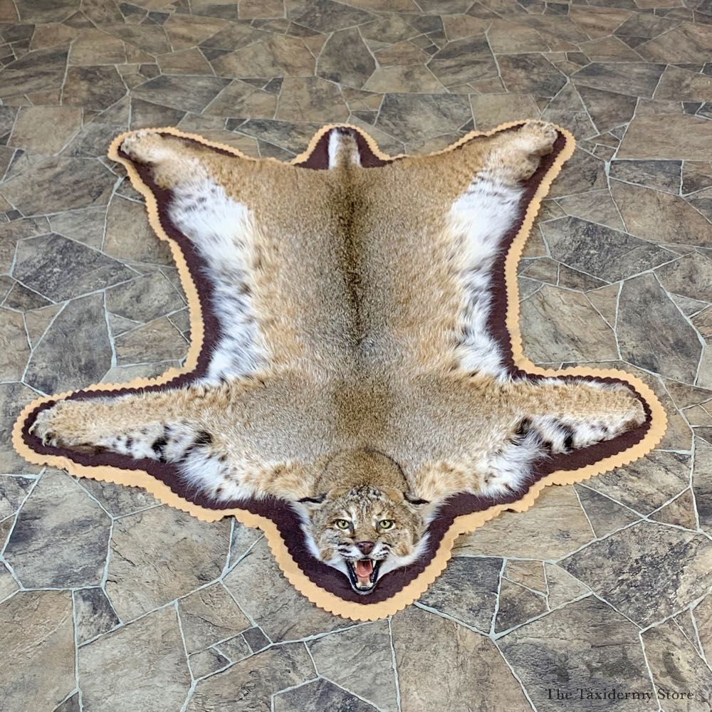 Bobcat Taxidermy Rug Mount For Sale #23686 @ The Taxidermy Store