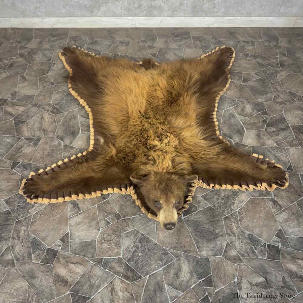 Blonde Black Bear Full Size Rug For Sale #31879 @ The Taxidermy Store