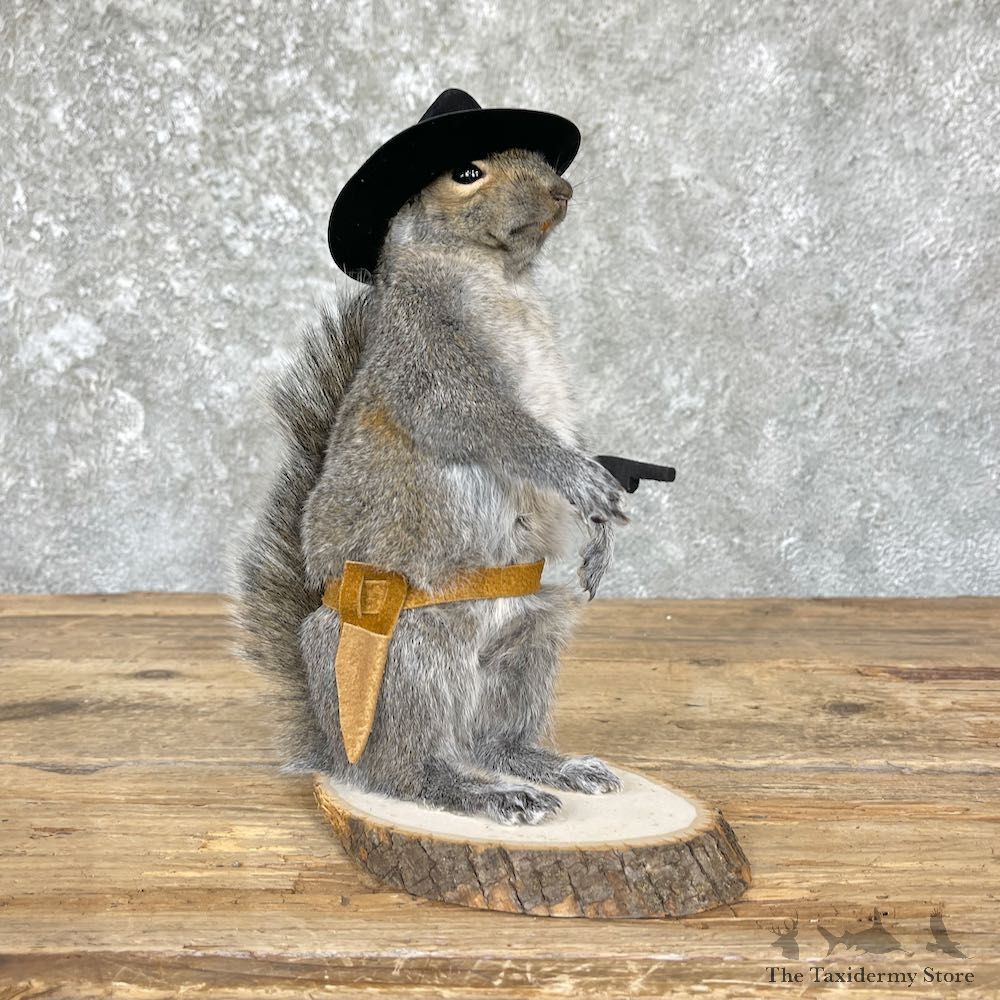 Cowboy Squirrel Novelty Mount For Sale #26391 @ The Taxidermy Store