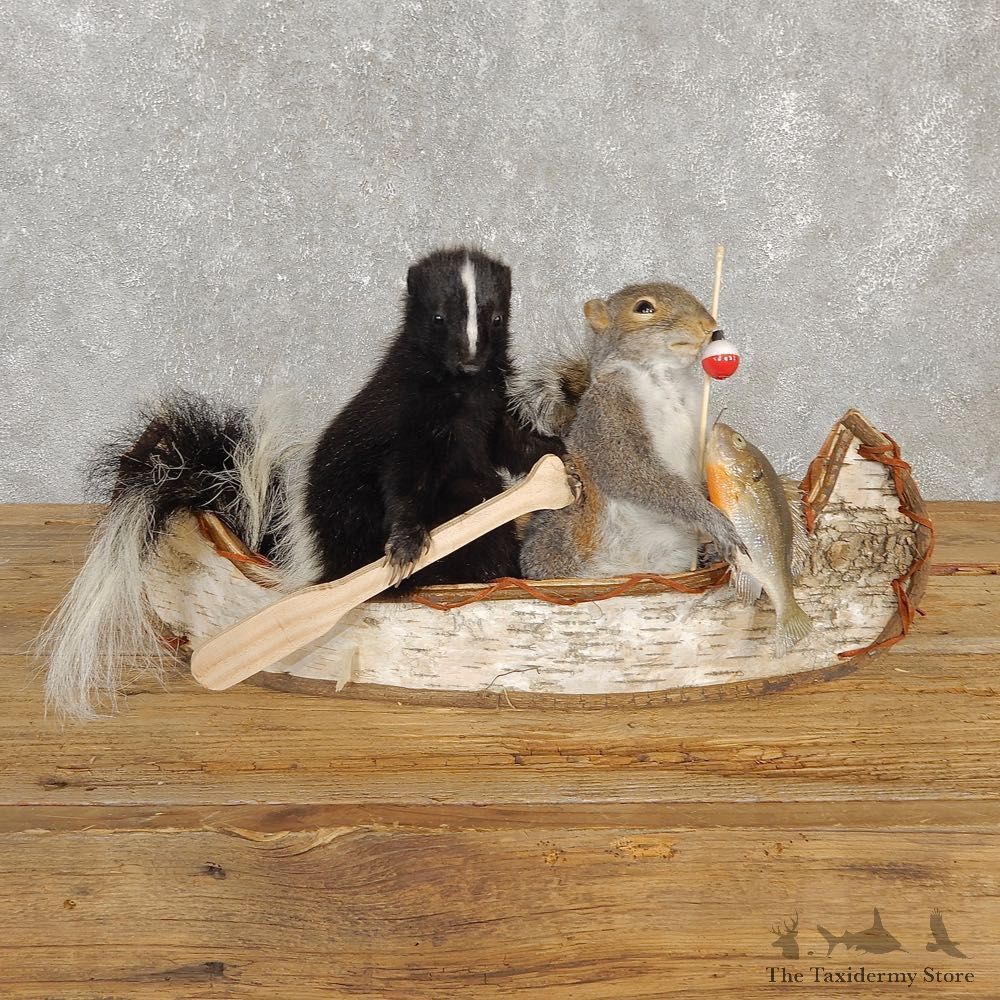 Canoeing Squirrel and Skunk Novelty Mount For Sale #20210 @ The Taxidermy Store