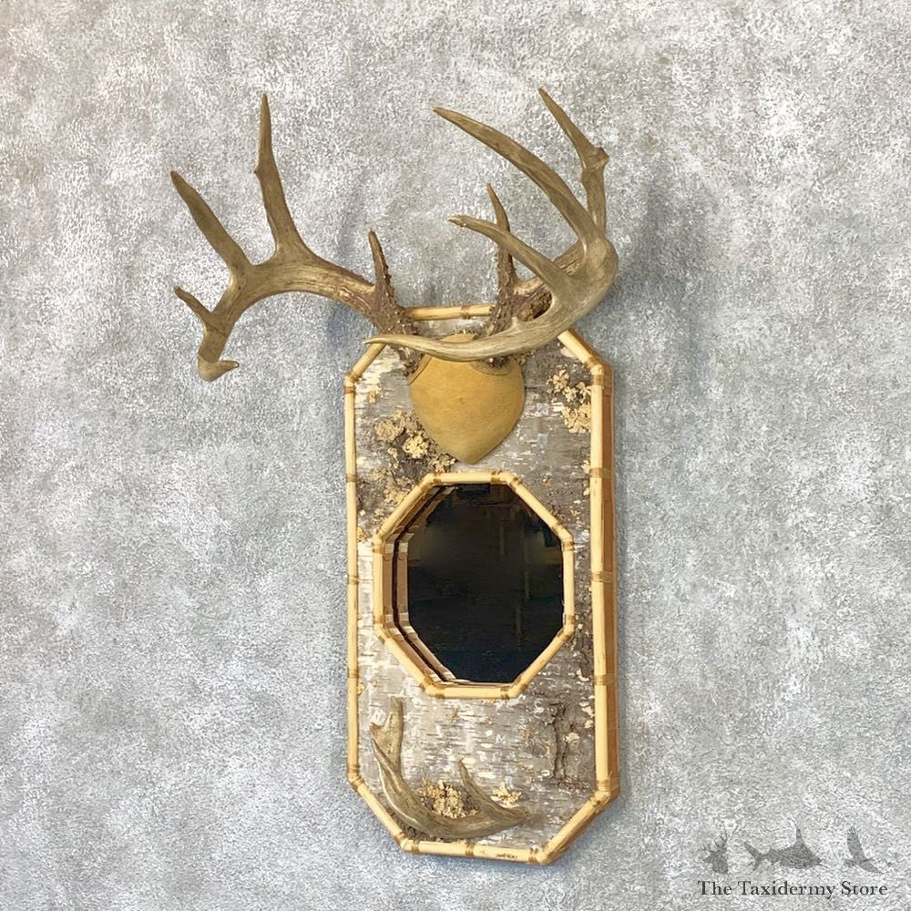 Whitetail Deer Mirrored Hatrack For Sale #22369 @ The Taxidermy Store