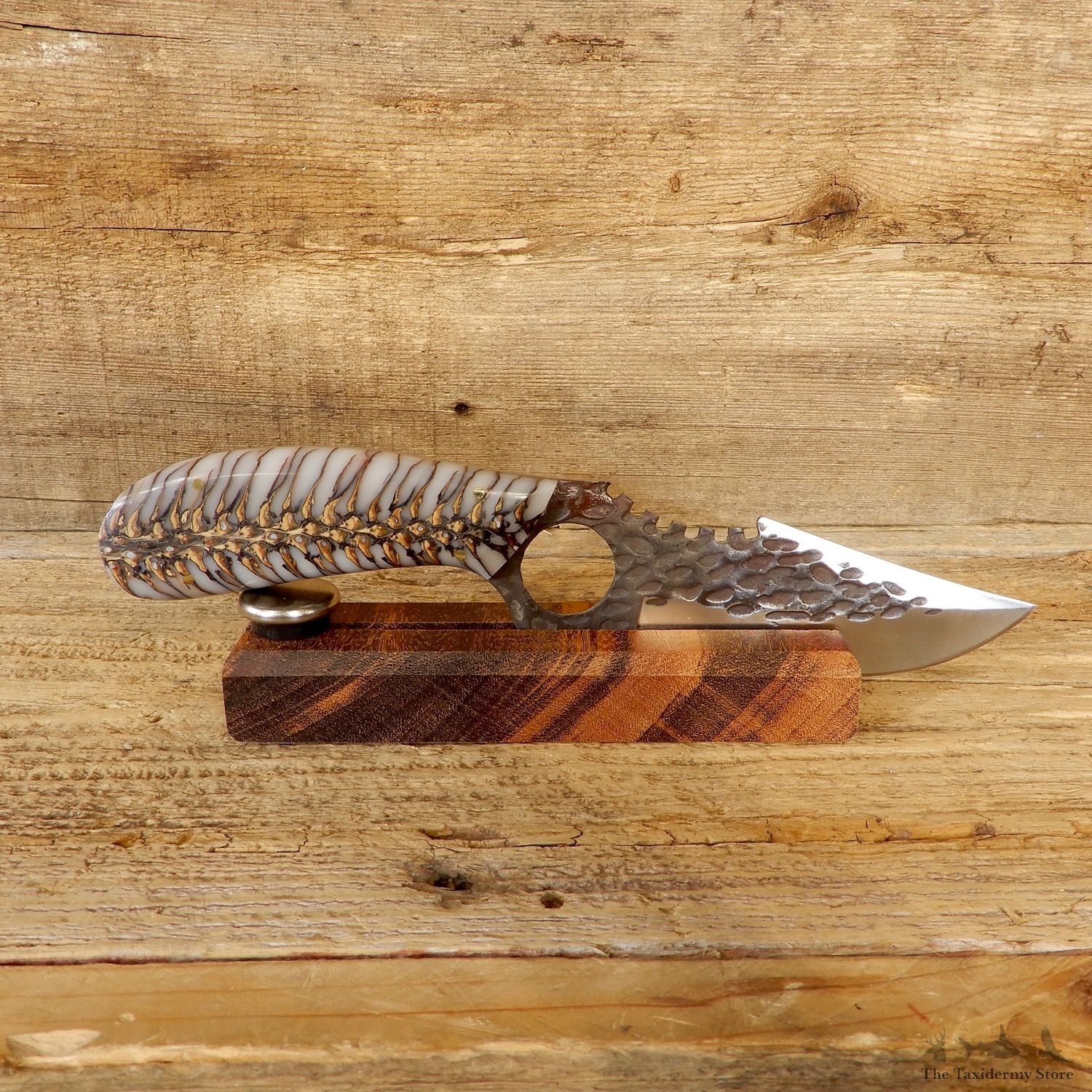 Kodiak XL Hunting Knife For Sale #19194 @ The Taxidermy Store