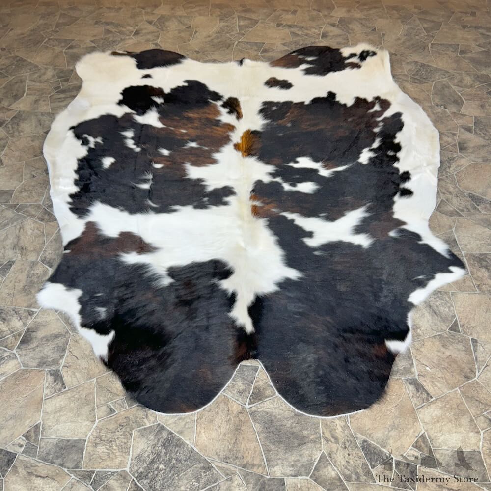 Black and White Cowhide Skin For Sale #28839 @ The Taxidermy Store
