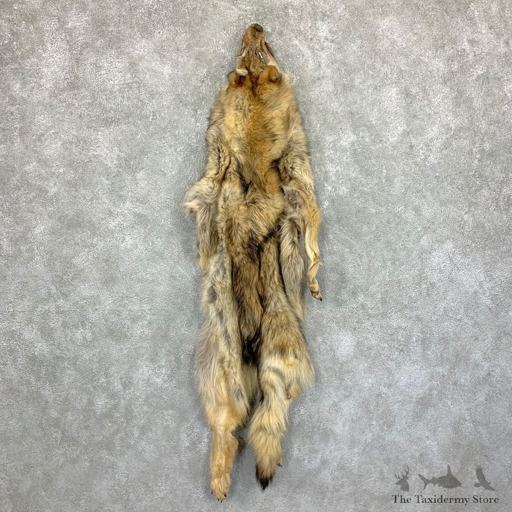 Alaskan Yukon Wolf Tanned Hide For Sale #22879 @ The Taxidermy Store