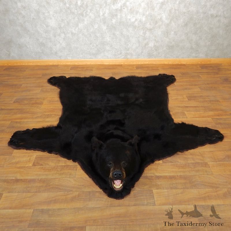 Black Bear Full-Size Rug For Sale #17872 @ The Taxidermy Store