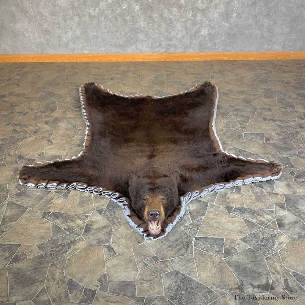 Chocolate Black Bear Full-Size Rug For Sale #23669 @ The Taxidermy Store