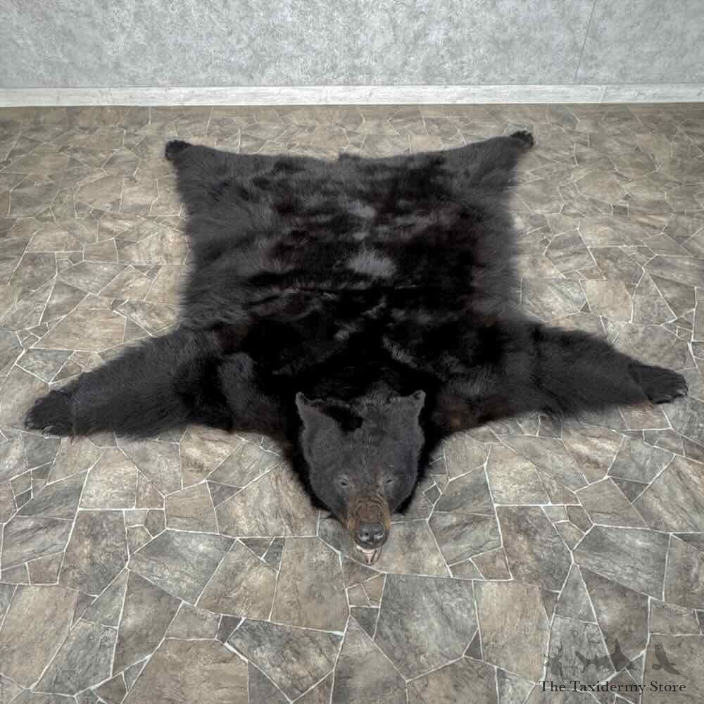 Black Bear Full Size Rug For Sale #31881 @ The Taxidermy Store