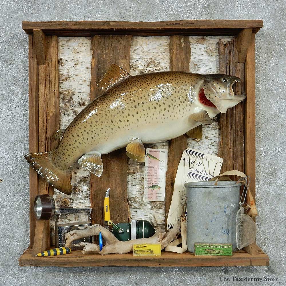 Captain's Classic Brown Trout Display Taxidermy Mount #13301 For Sale @ The Taxidermy Store