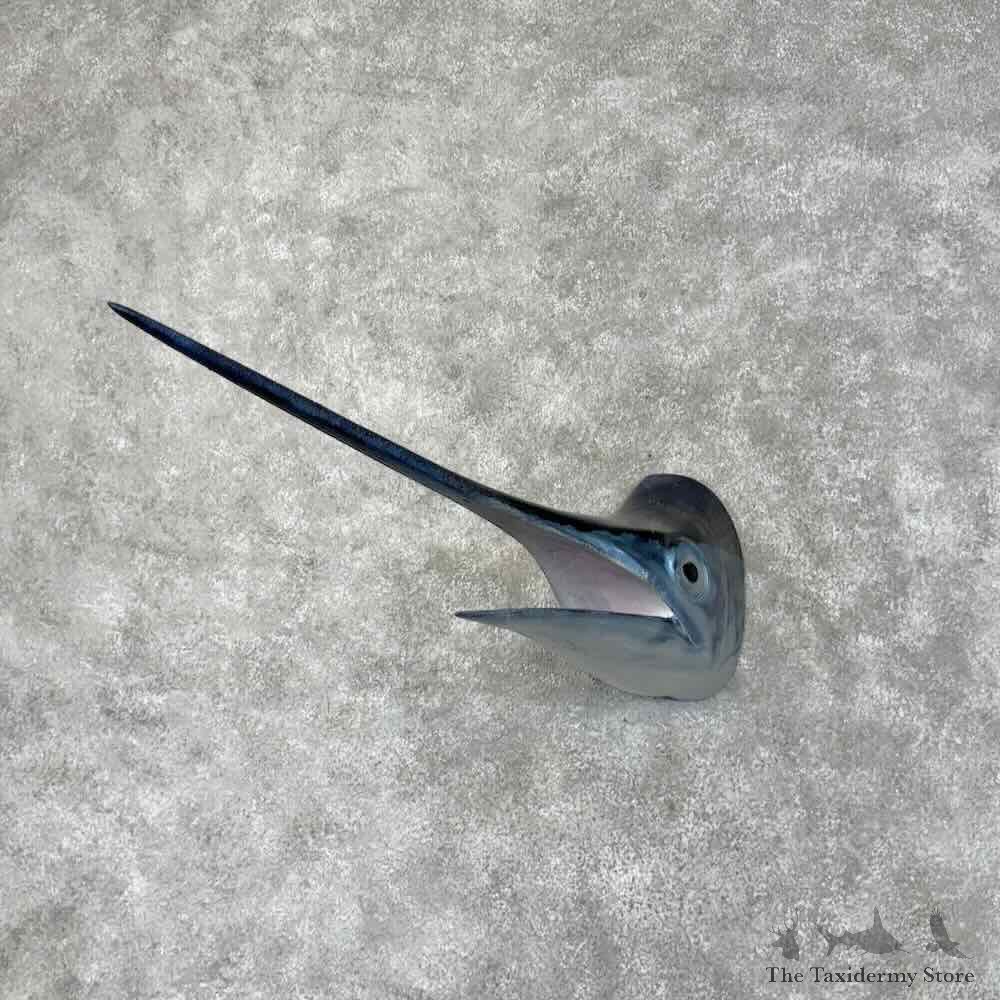 Blue Marlin Fish Head Mount For Sale #30453 @ The Taxidermy Store