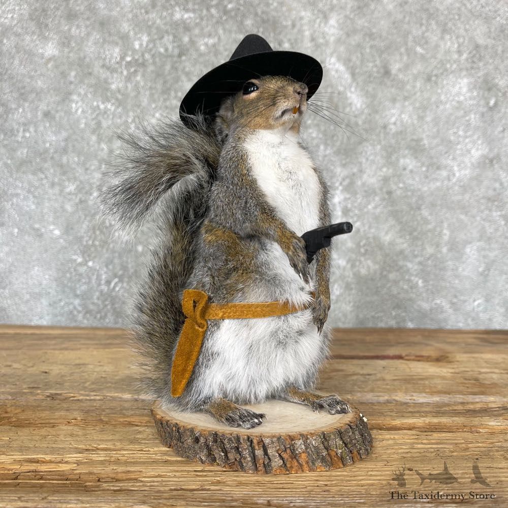 Cowboy Squirrel Novelty Mount For Sale #24361 @ The Taxidermy Store