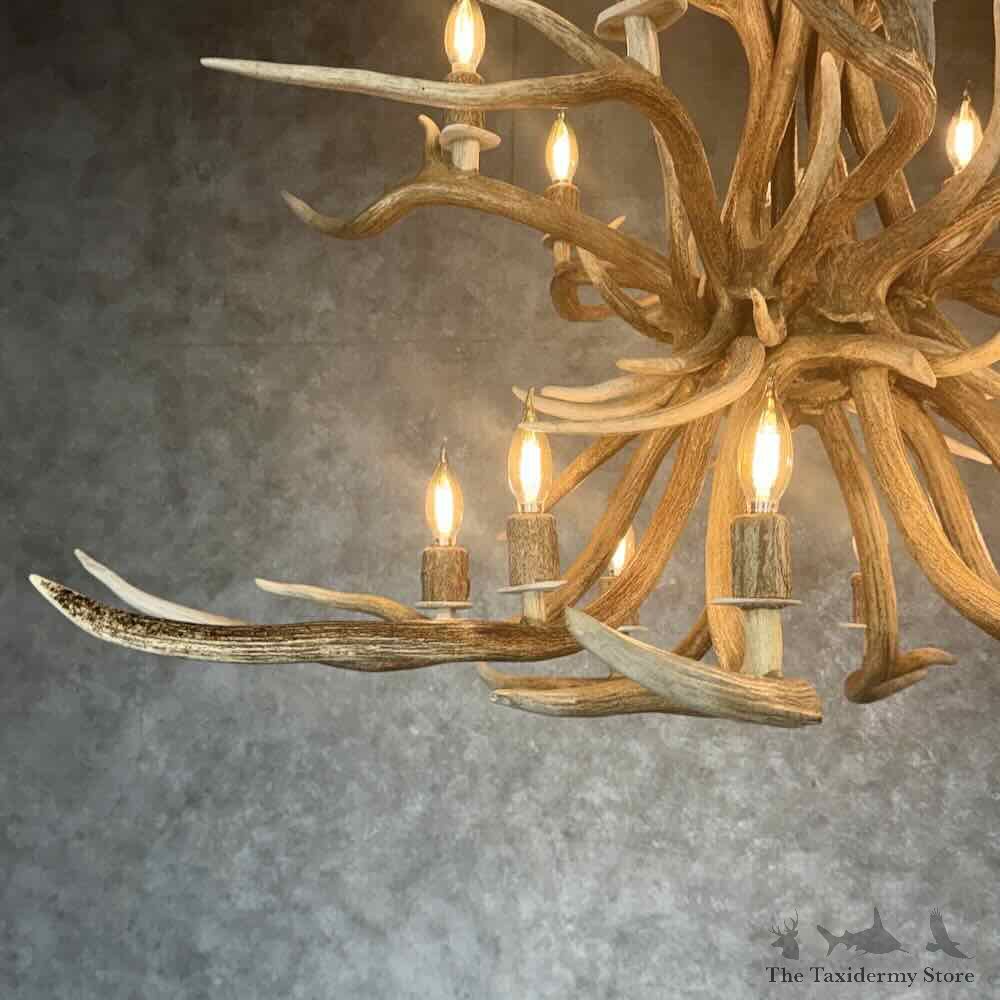 Axis Deer Antler Chandelier For Sale #31643 @ The Taxidermy Store