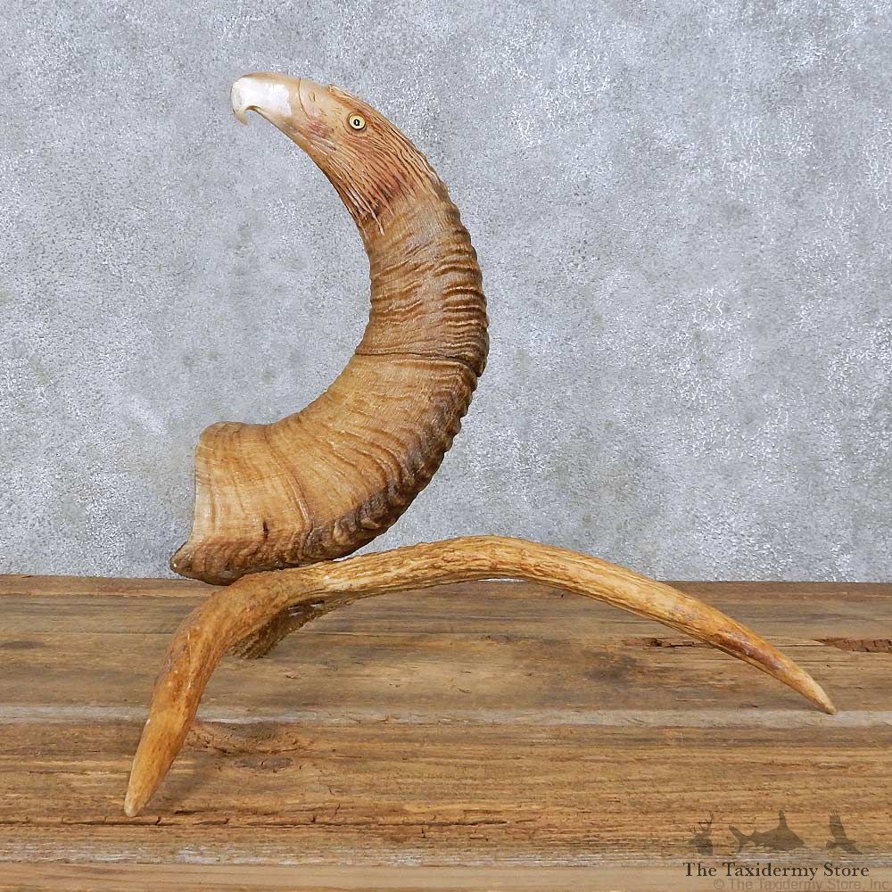 Bighorn Sheep Horn Eagle Head Carving For Sale #13963 @ The Taxidermy Store